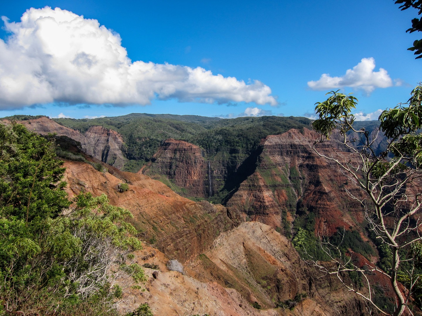View of the Wimea Canyon.
