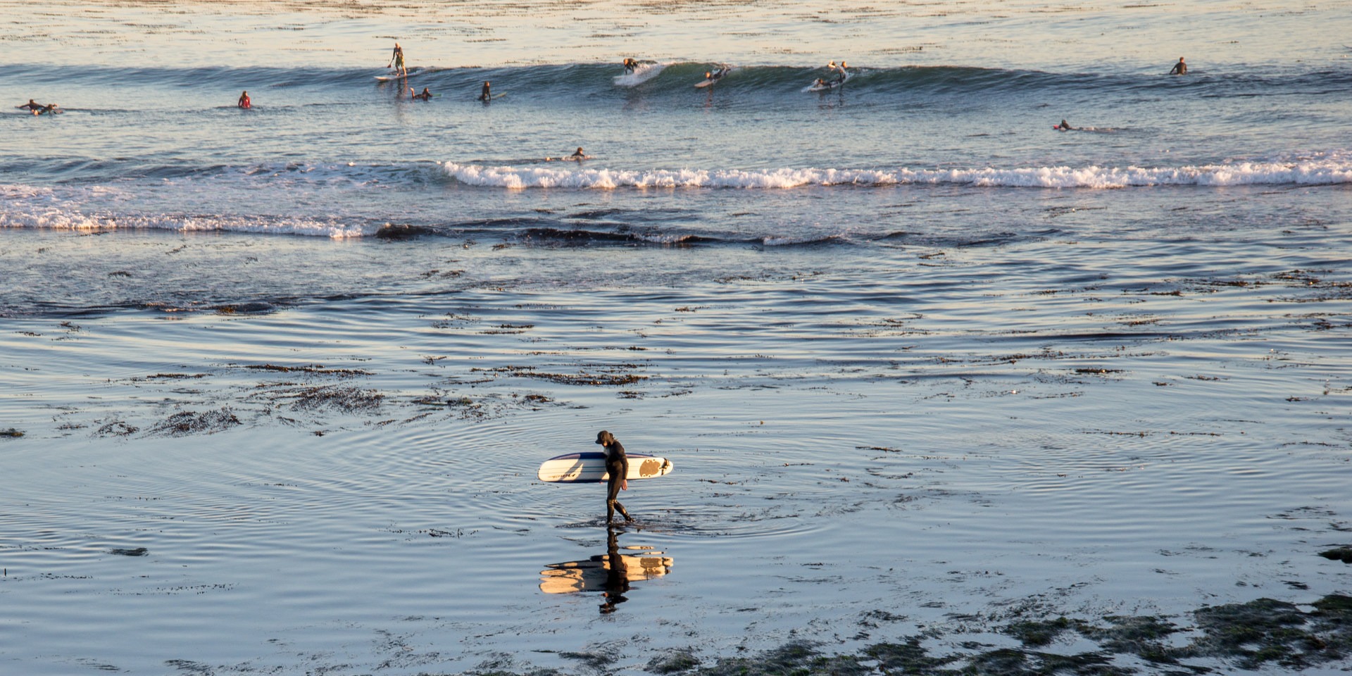 Surfing at Pleasure Point.