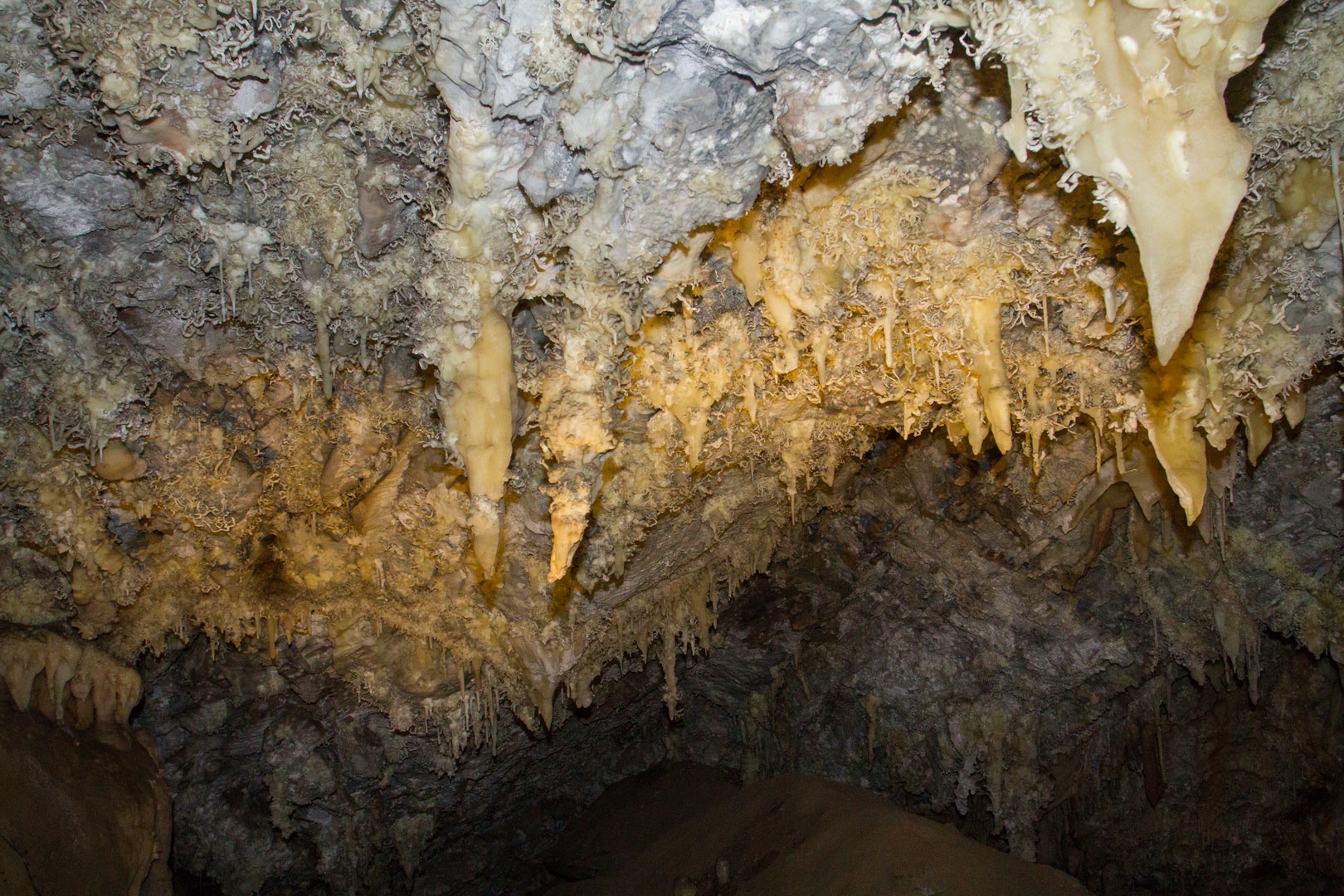 Helictites and stalactites in Timpanogos Cave National Monument.