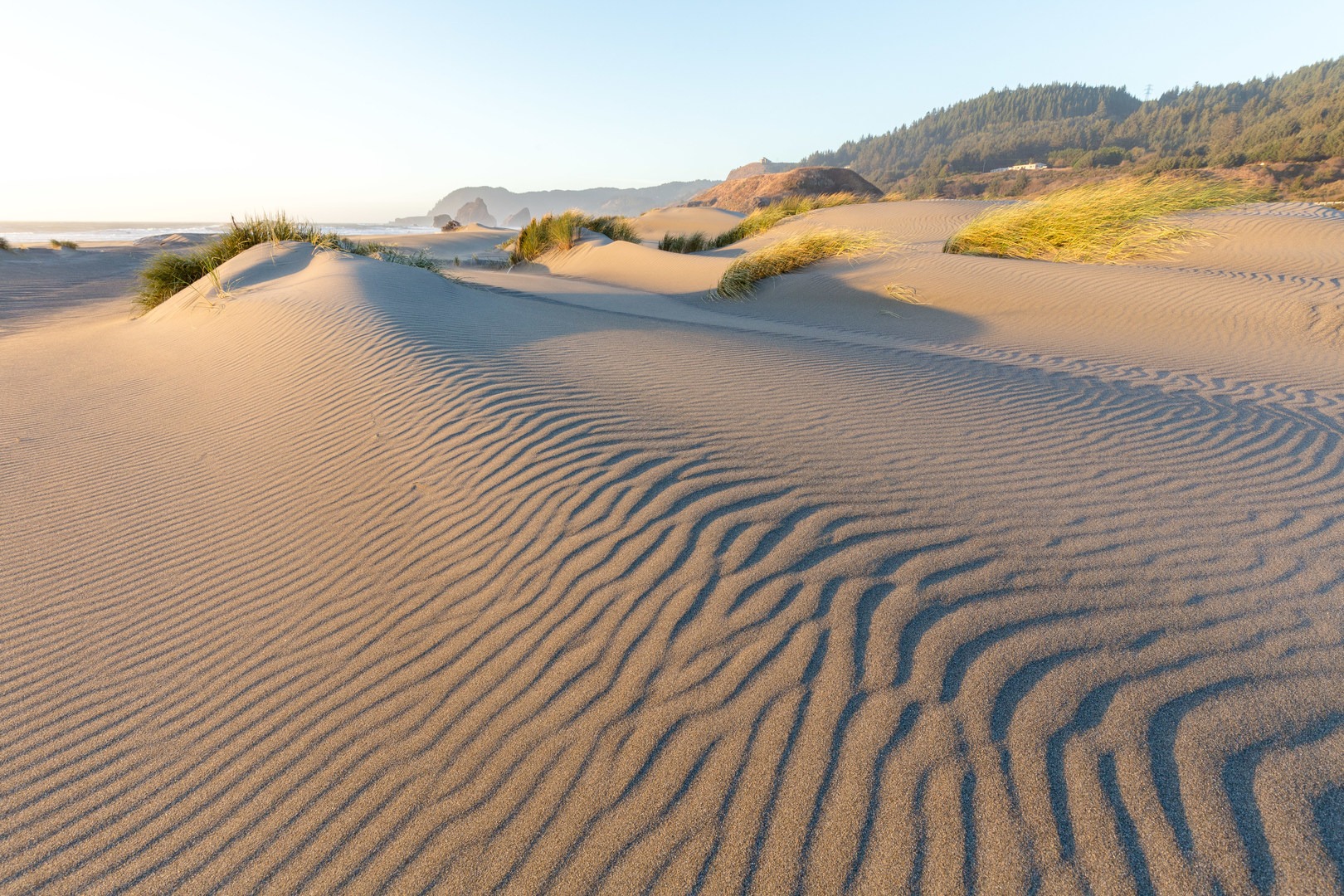 Late day sunlight allows visitors to see the textures of the dunes.