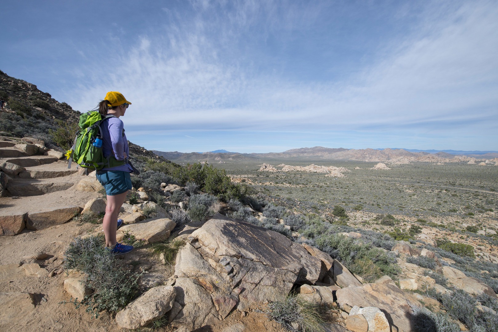 Looking out west from the Ryan Mountain Trail.