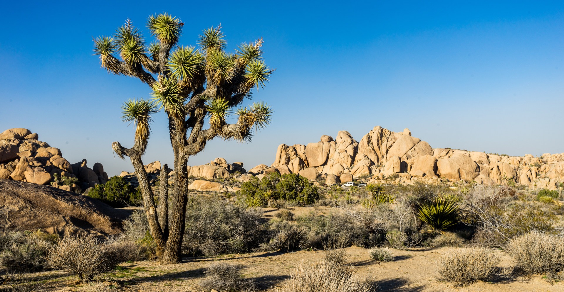 View of the Split Rock picnic area from the trail.