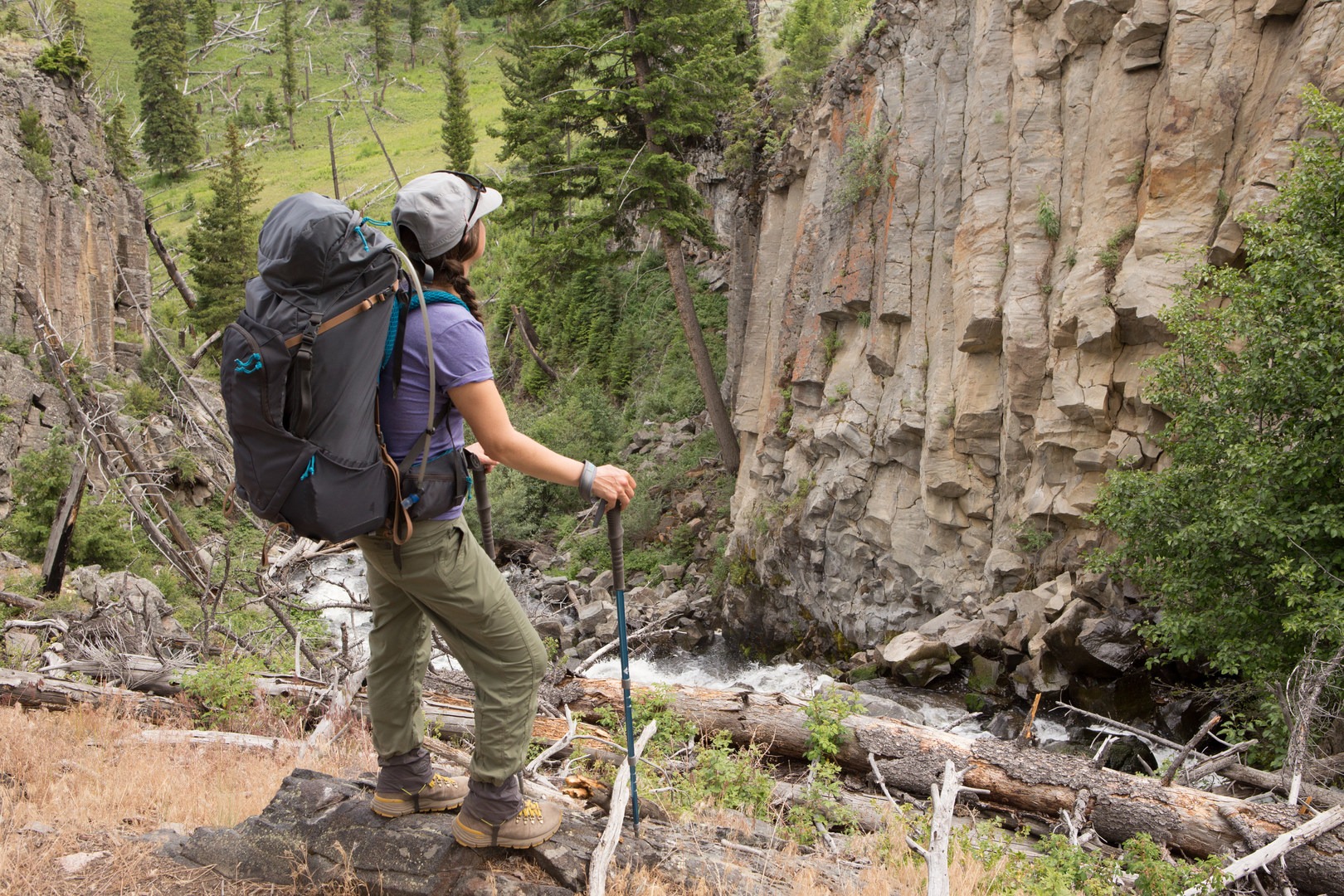 Columnar basalt is formed during rapid cooling of lava and is a common sight in the Black Canyon.