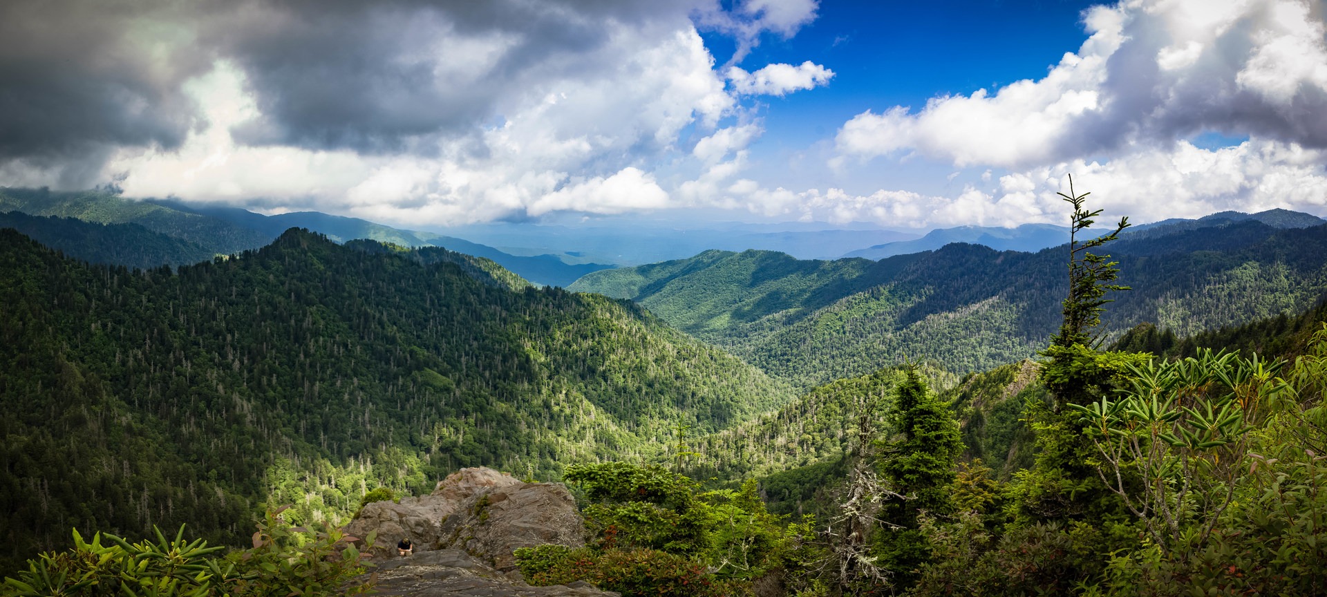 View from Charlie's Bunion.