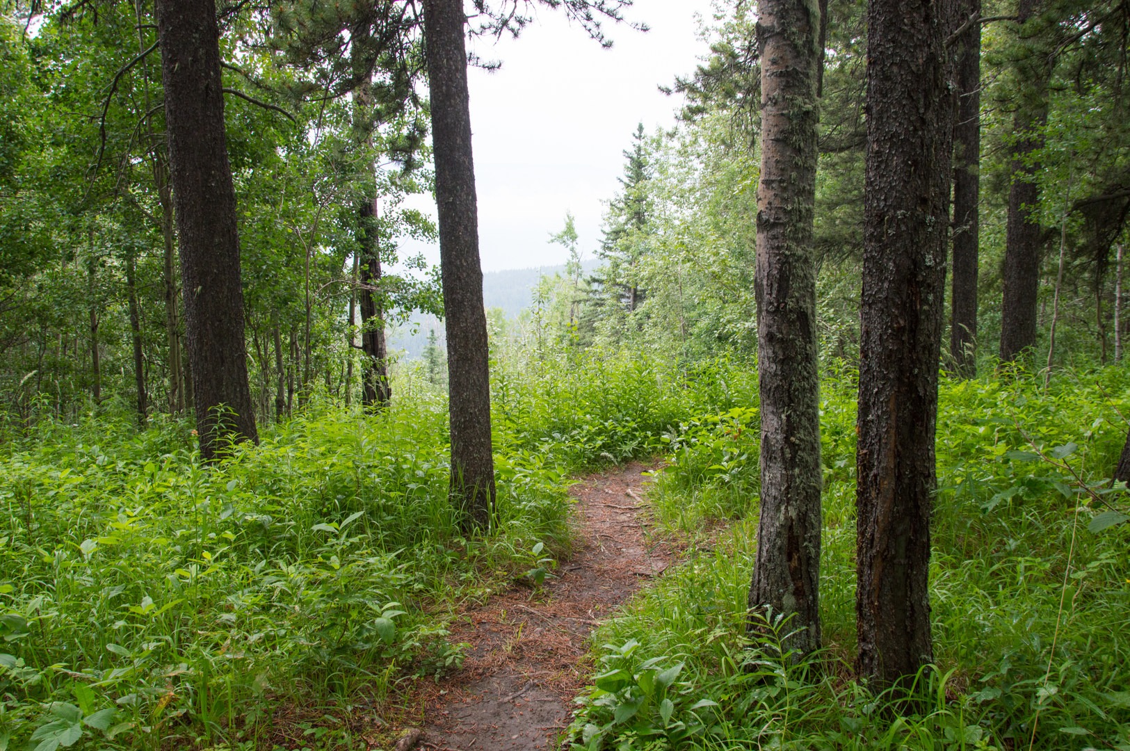 Short trail to the viewpoint.