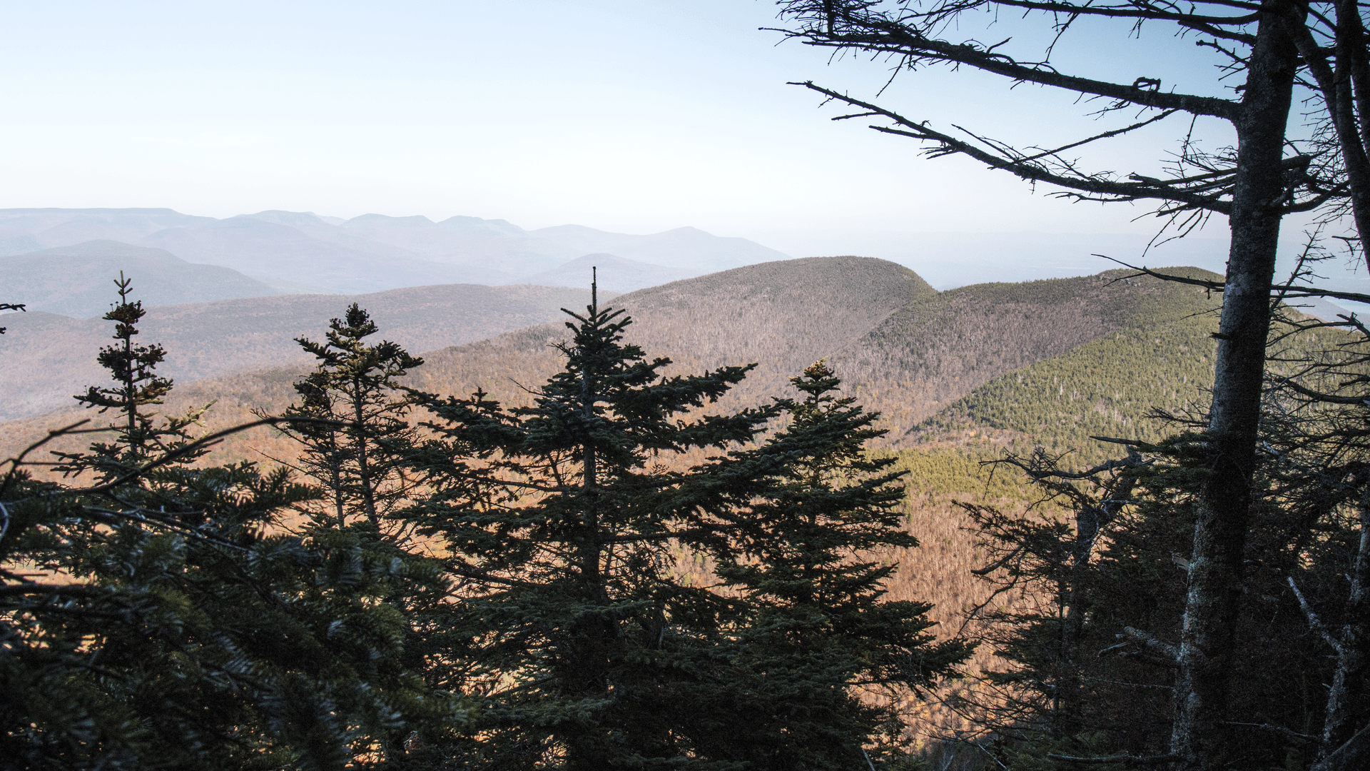 A lookout to Cornell and Wittenberg.