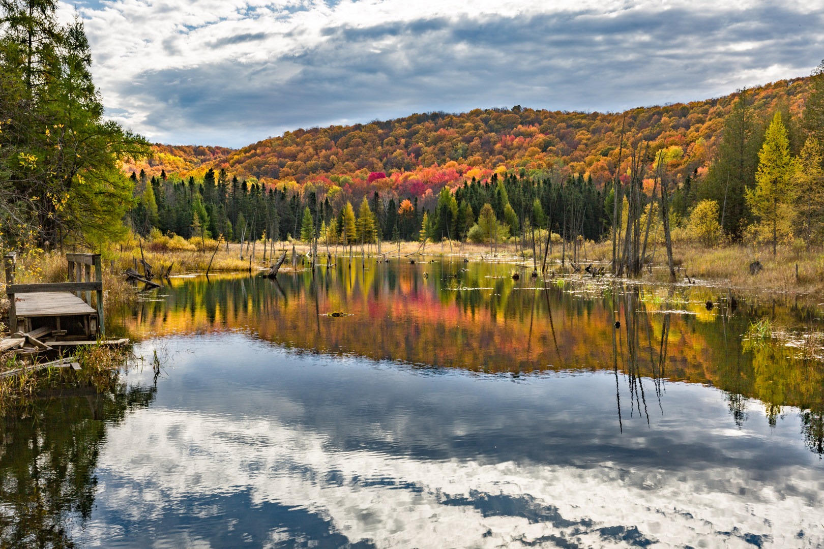A beaver pond along the Jordan River Pathway.