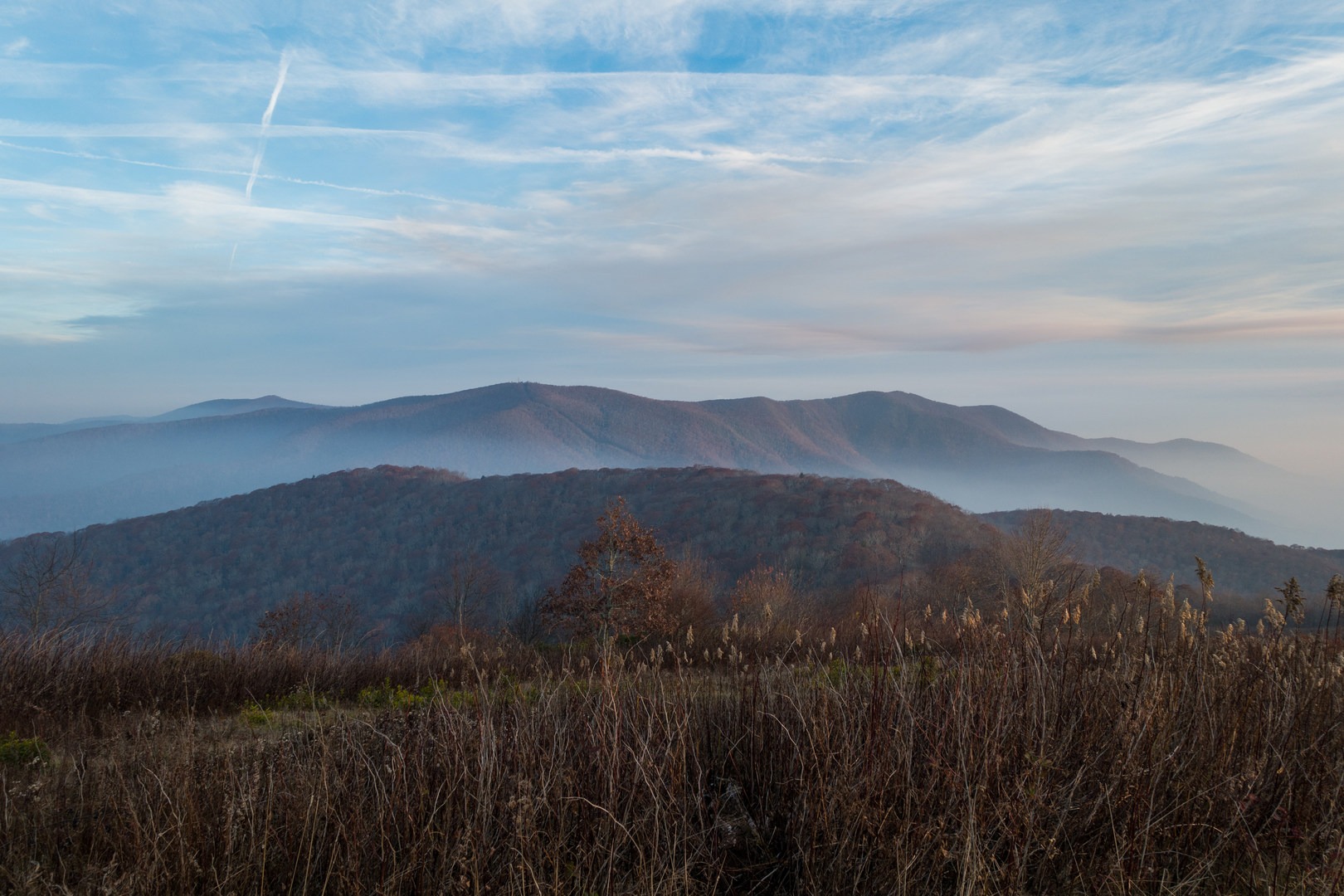 On the way down back to the shelter.