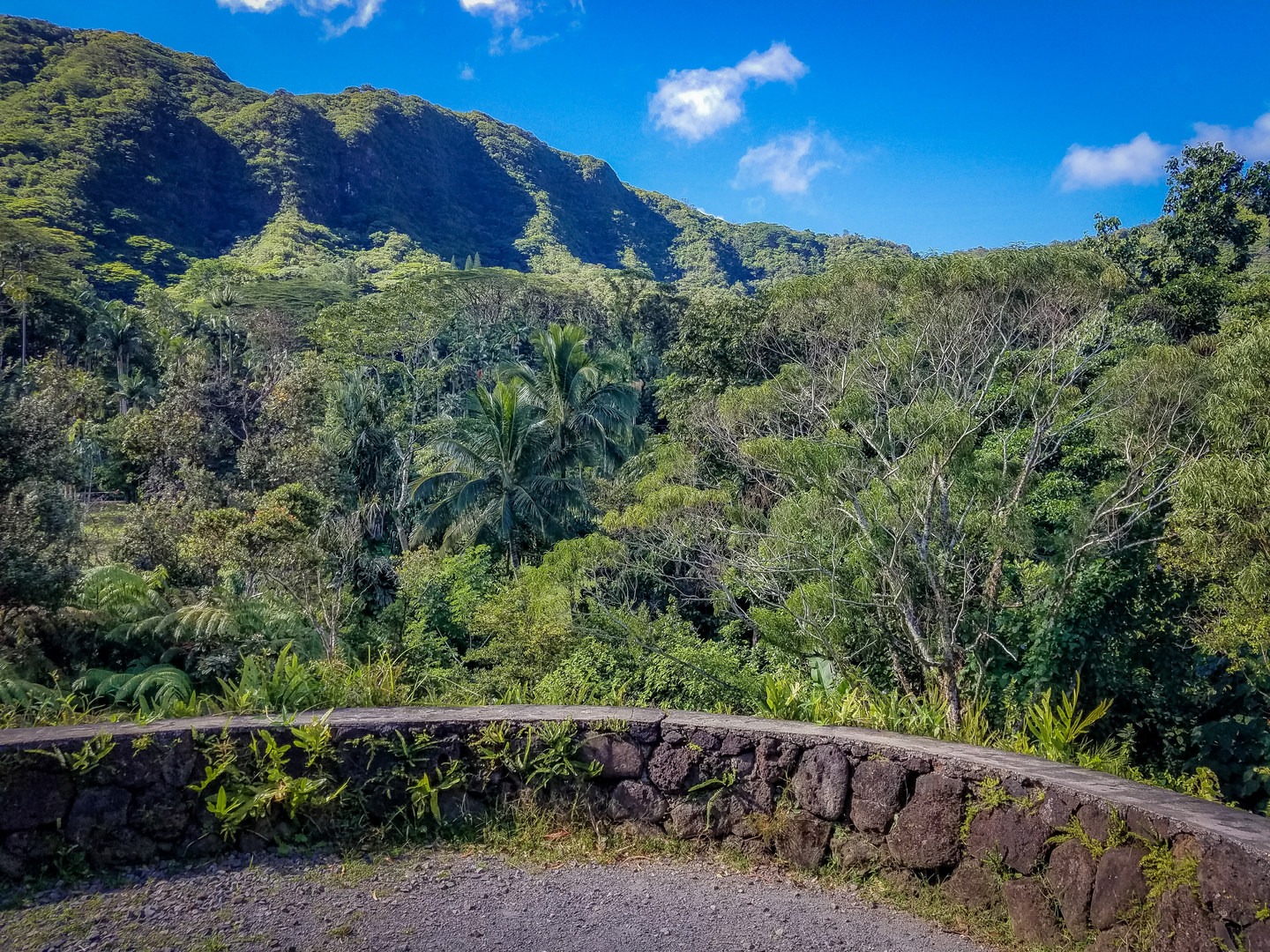 Mountain views from the visitor center.