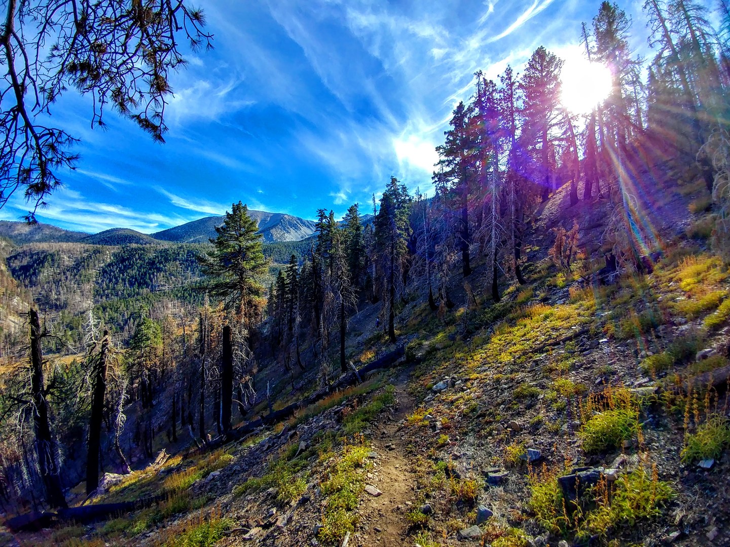 Descending toward Dollar Lake.
