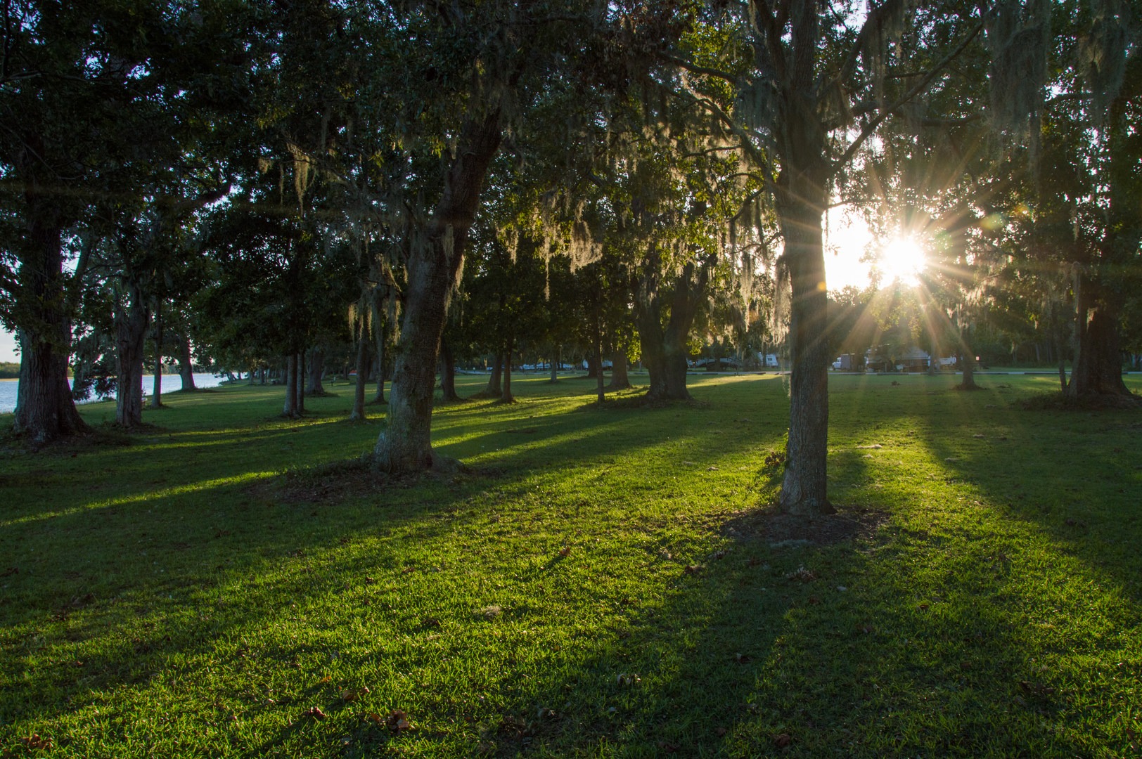 Evening sun in the trees at Buck Hall Recreation Area campground.