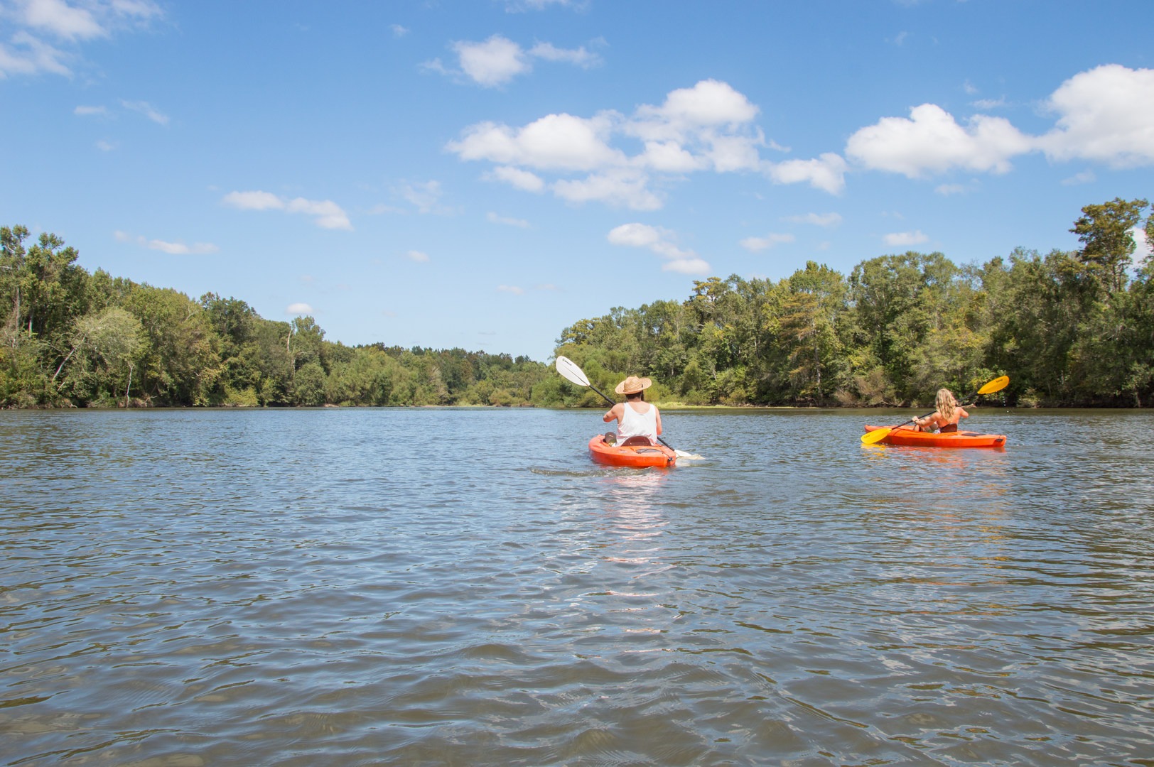 Perfect early fall day in South Carolina.