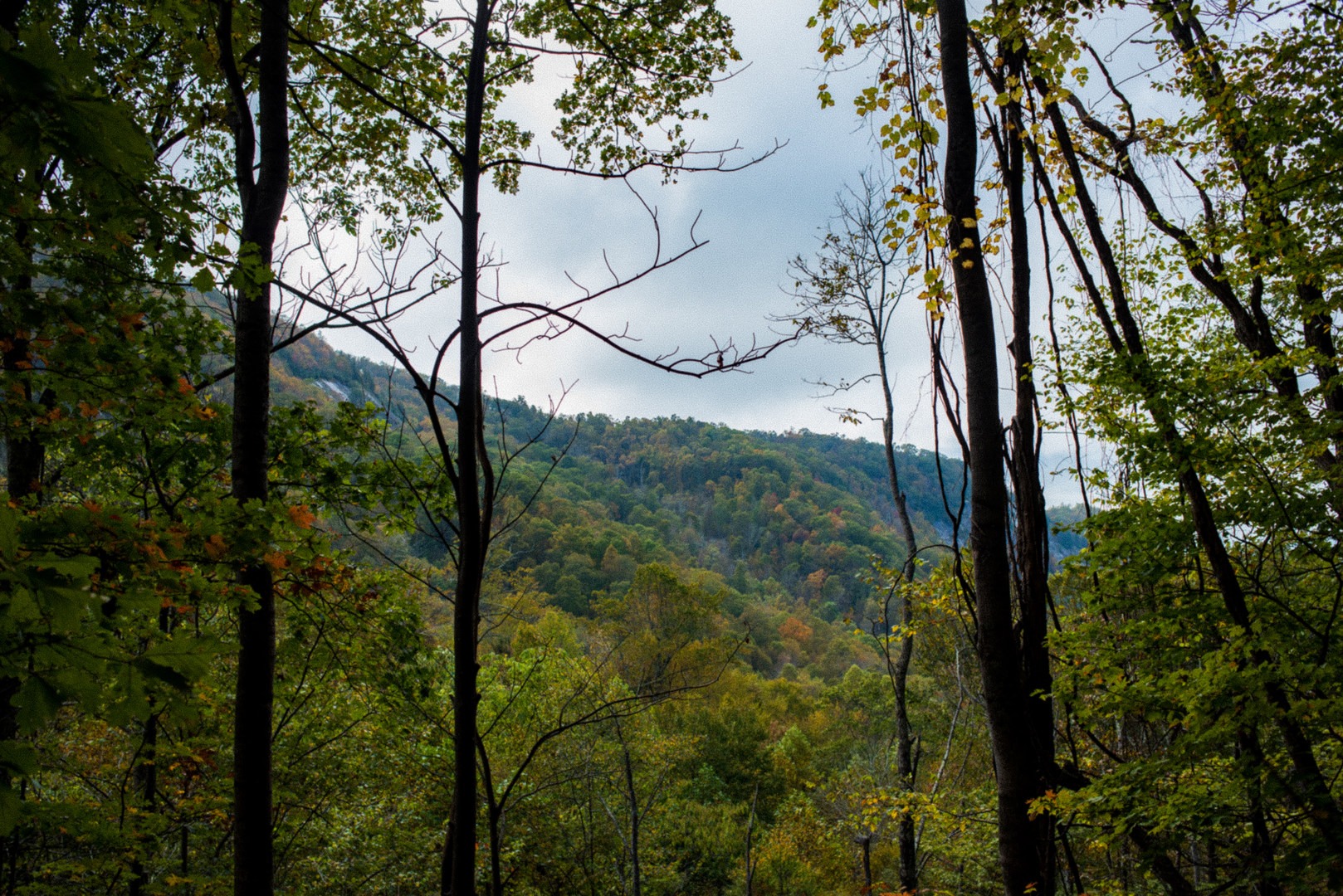 Mountain views from the Trombatore Trail.