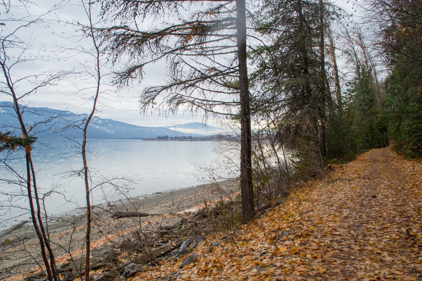 The Pend d'Oreille Bay Trail.