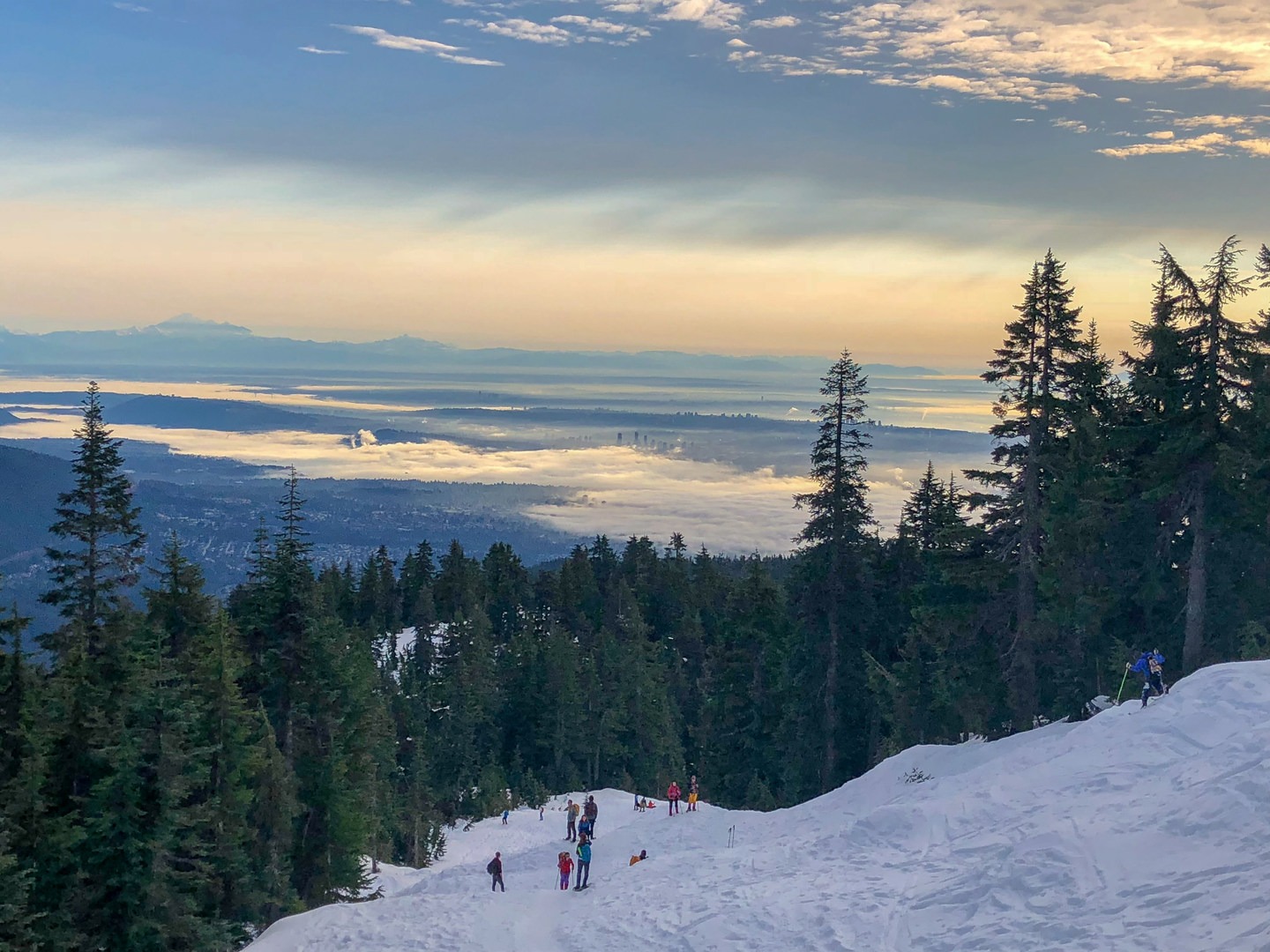 Hollyburn snowshoe Clearance