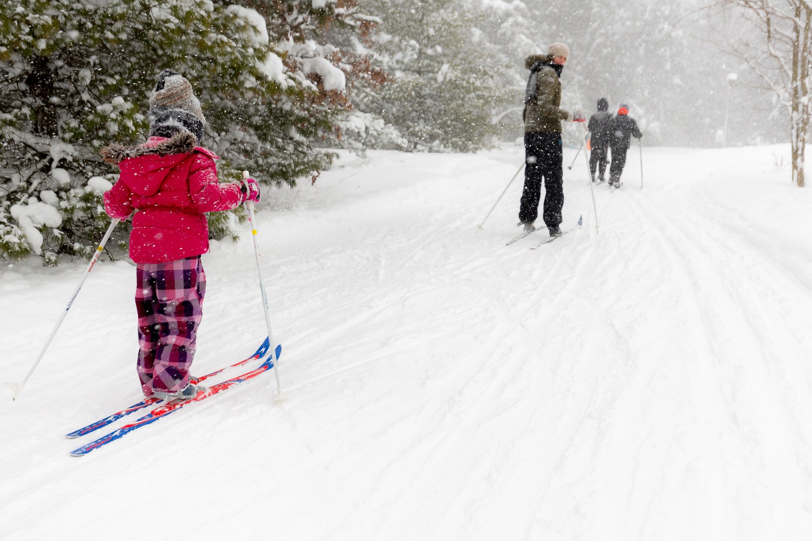 Family-friendly trails at Pigeon Creek State Park.