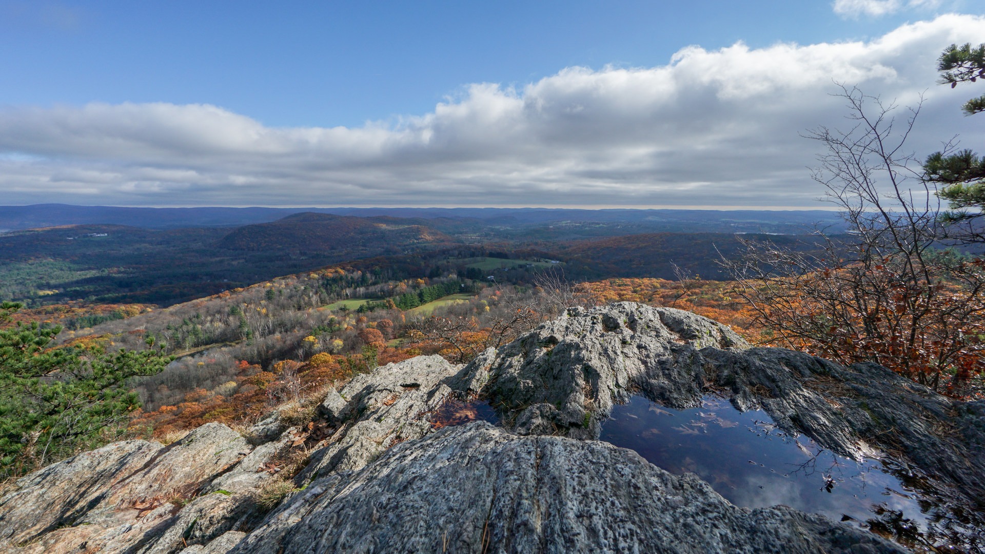 View from Lion's Head.