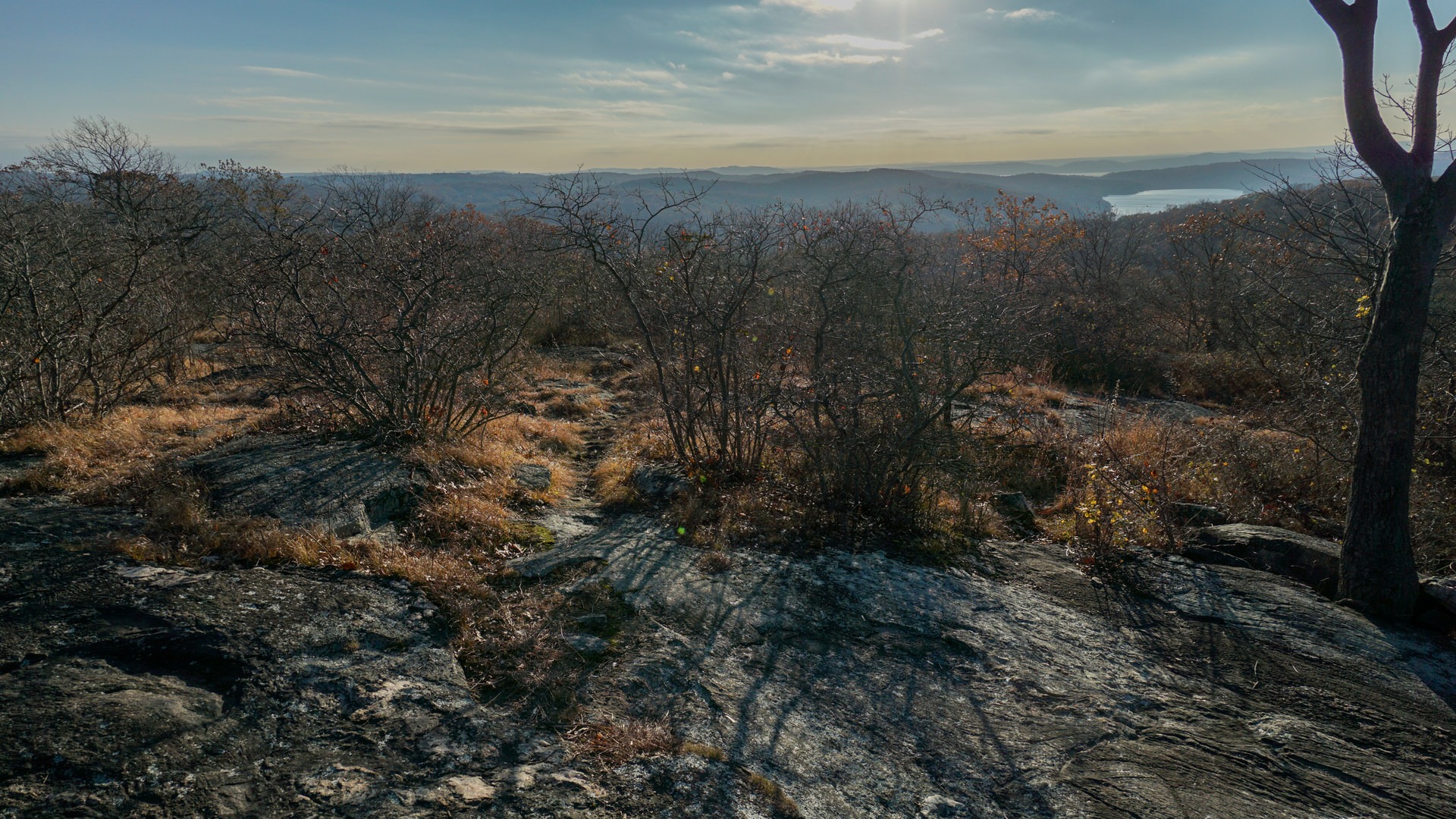 Stellar views from the summit of Turkey Mountain.