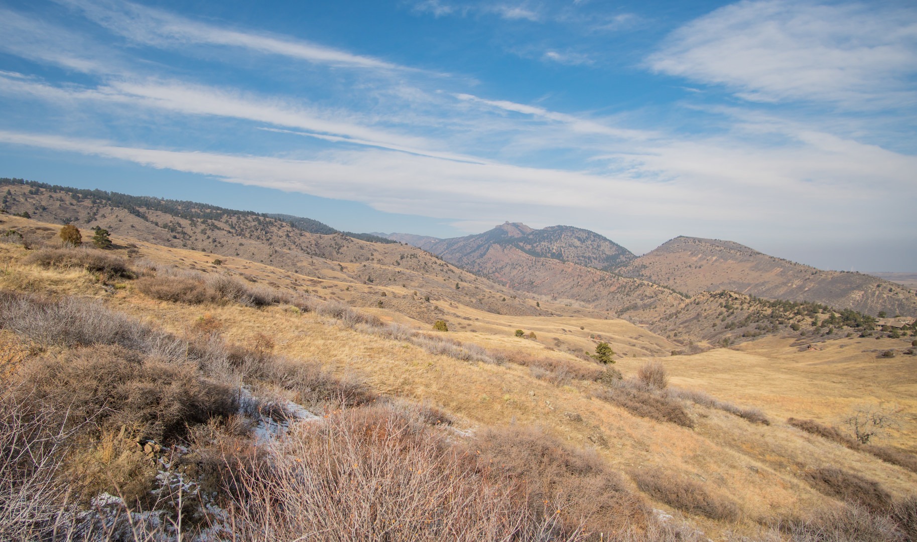 Beautiful open foothills on the Longhorn Trail.