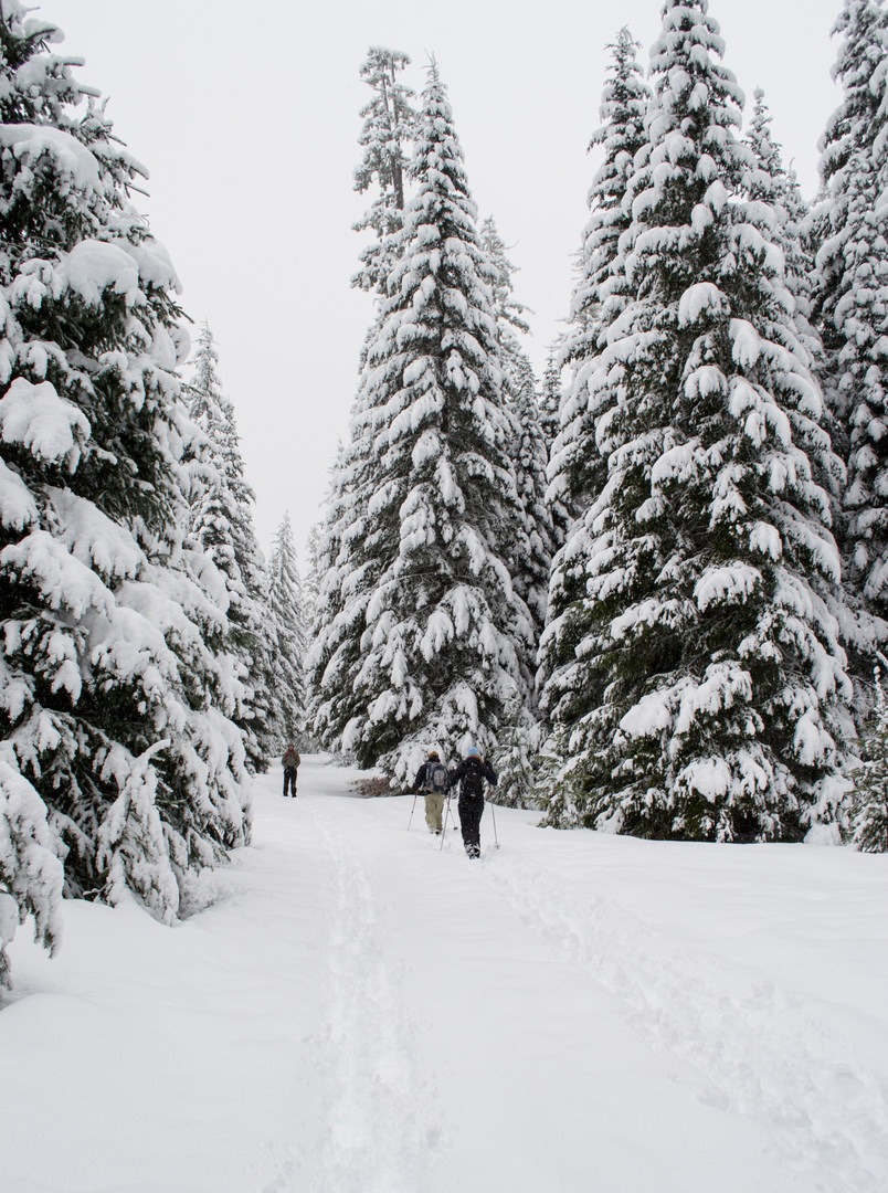 Trails are popular with snowshoers and cross-country skiers.