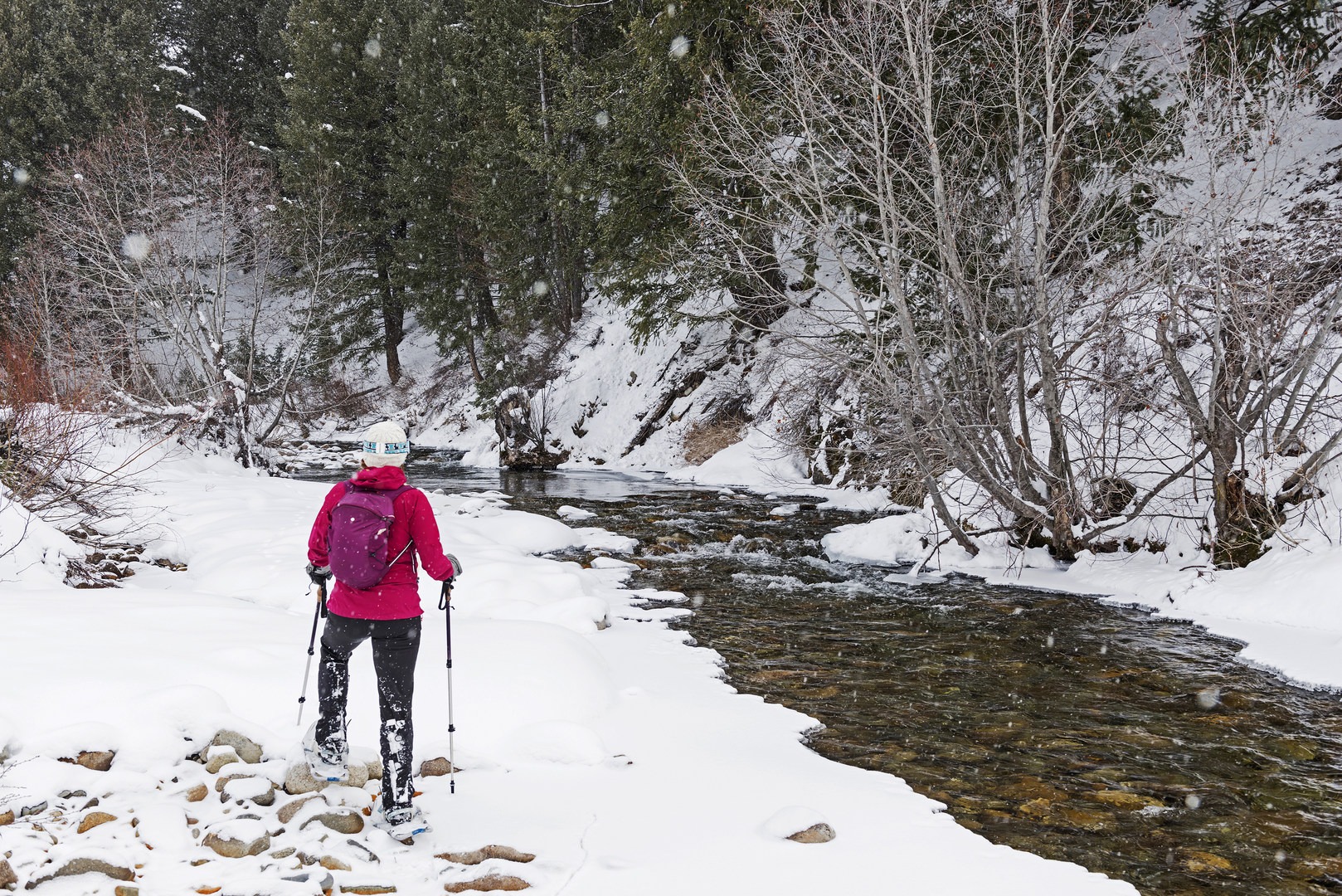 The North Fork of the Big Wood River.