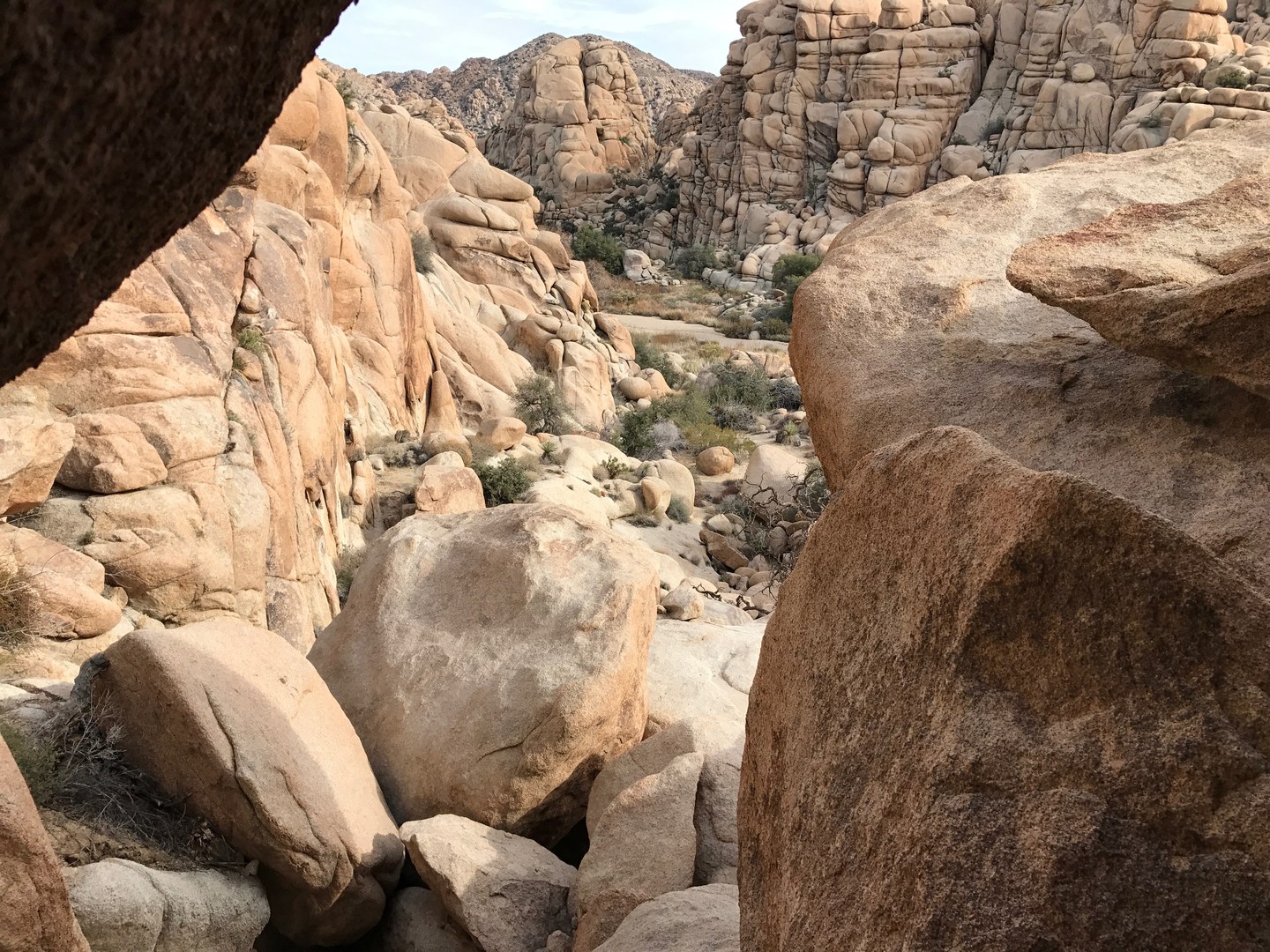 Willow Hole from a cave above the desert floor.
