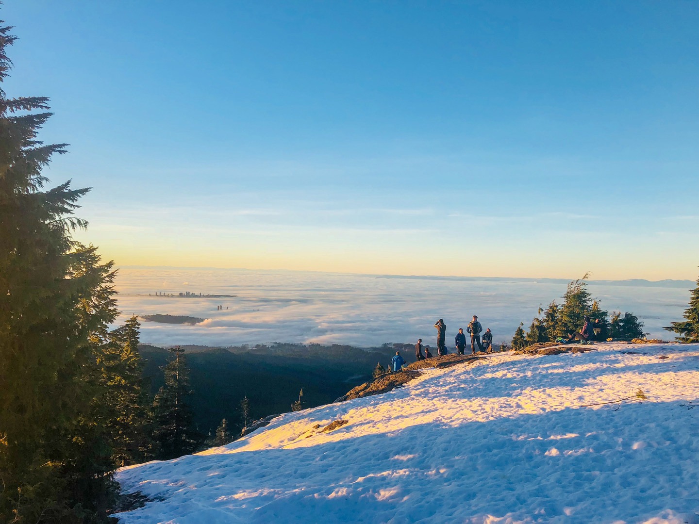 The trail emerges from the forest to superb views atop the mountain.