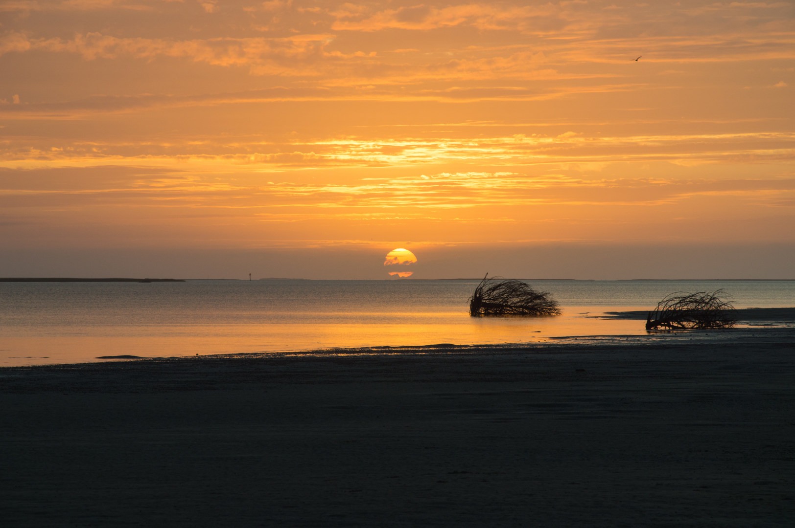 Brilliant sunrise over the water.