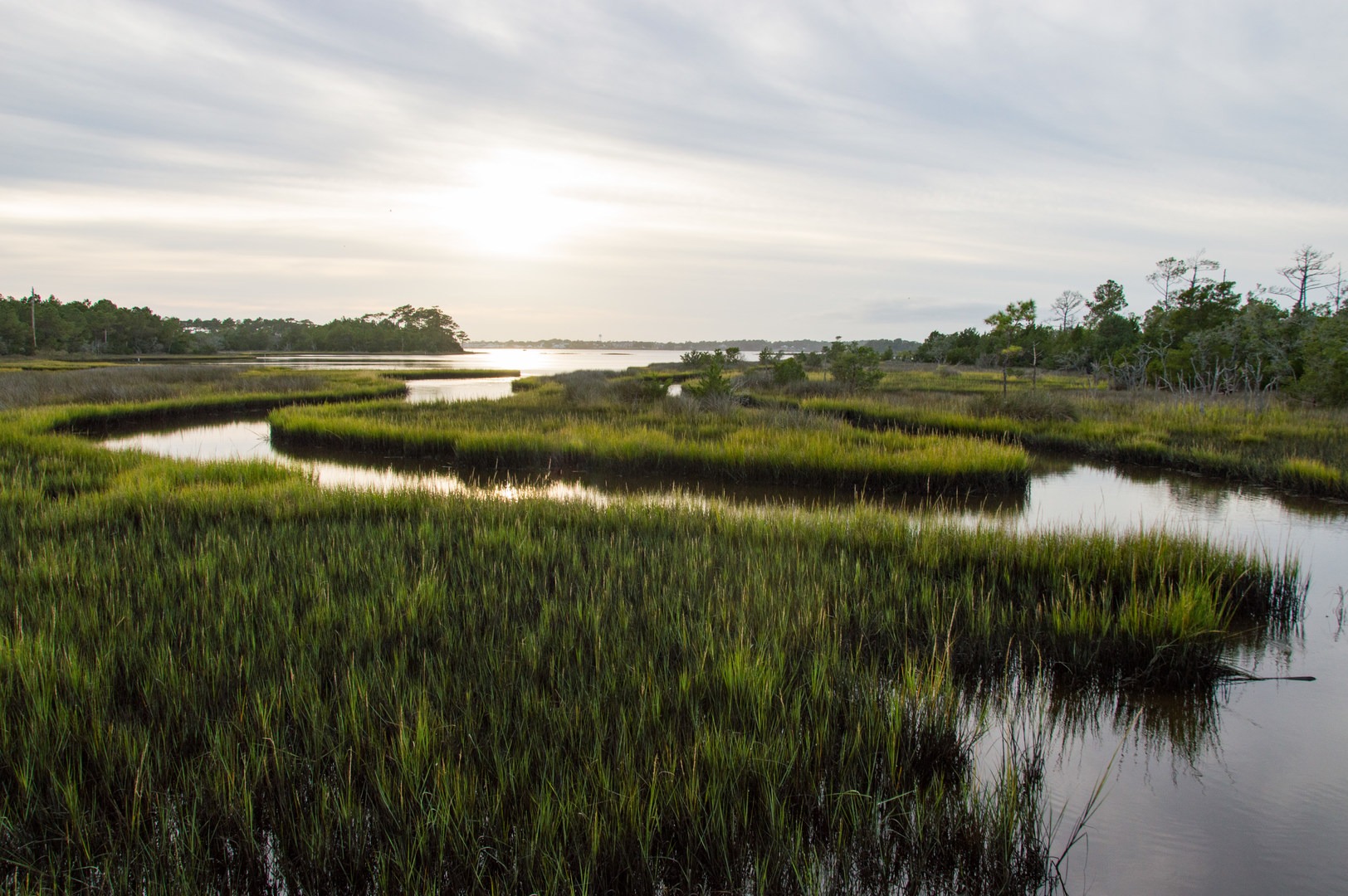 View along the nearby hiking trail.