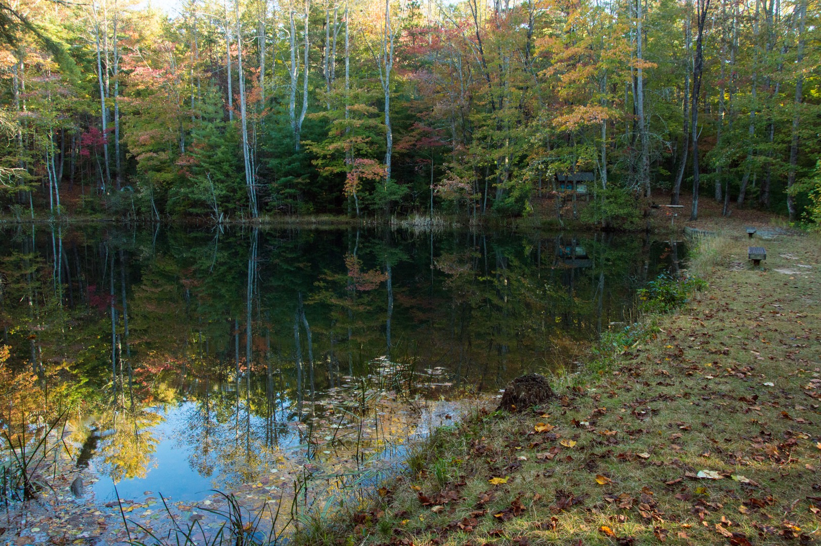 Raymond Fisher Pond.