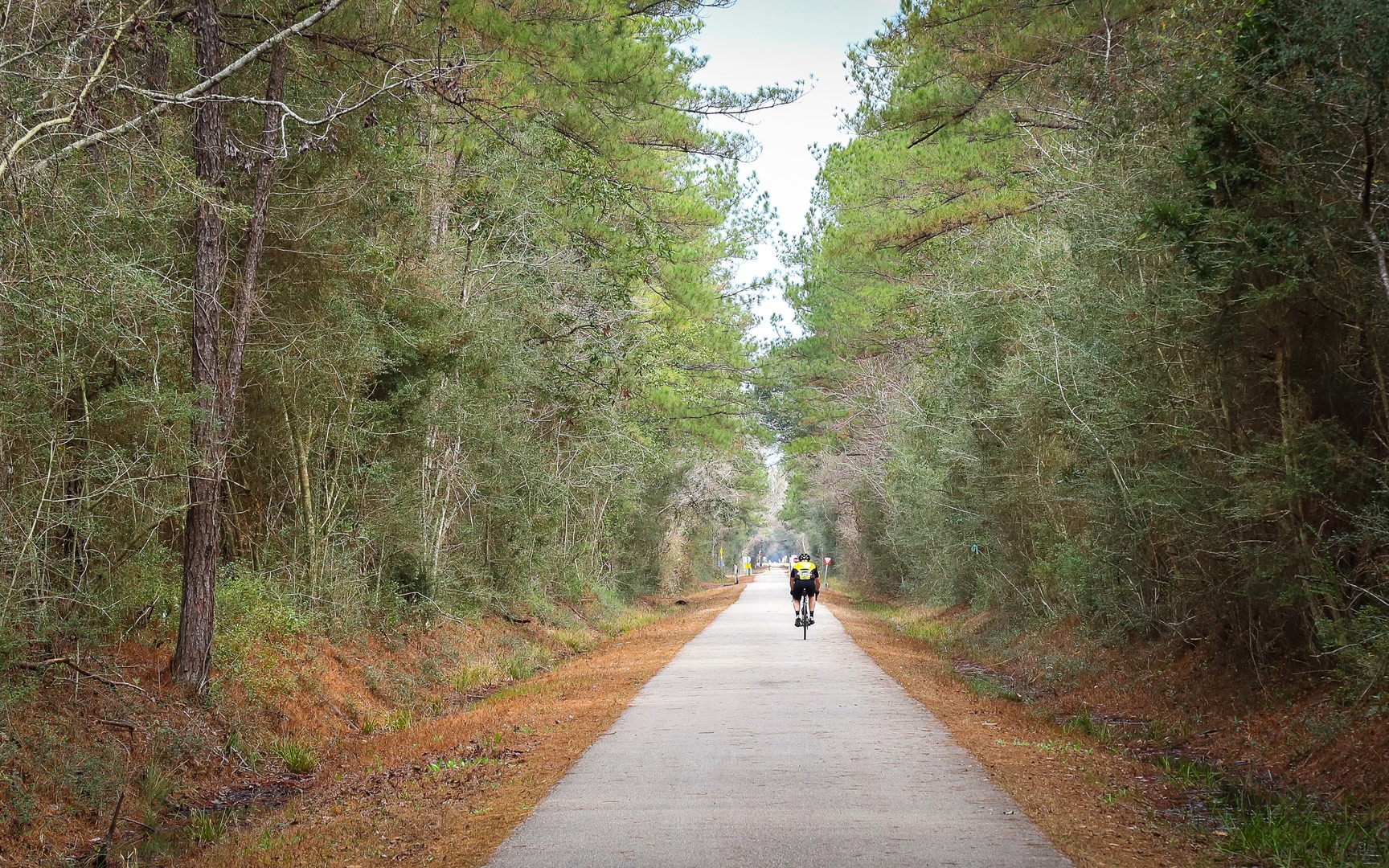 Cyclists along the 31-mile Tammany Trace rail trail.