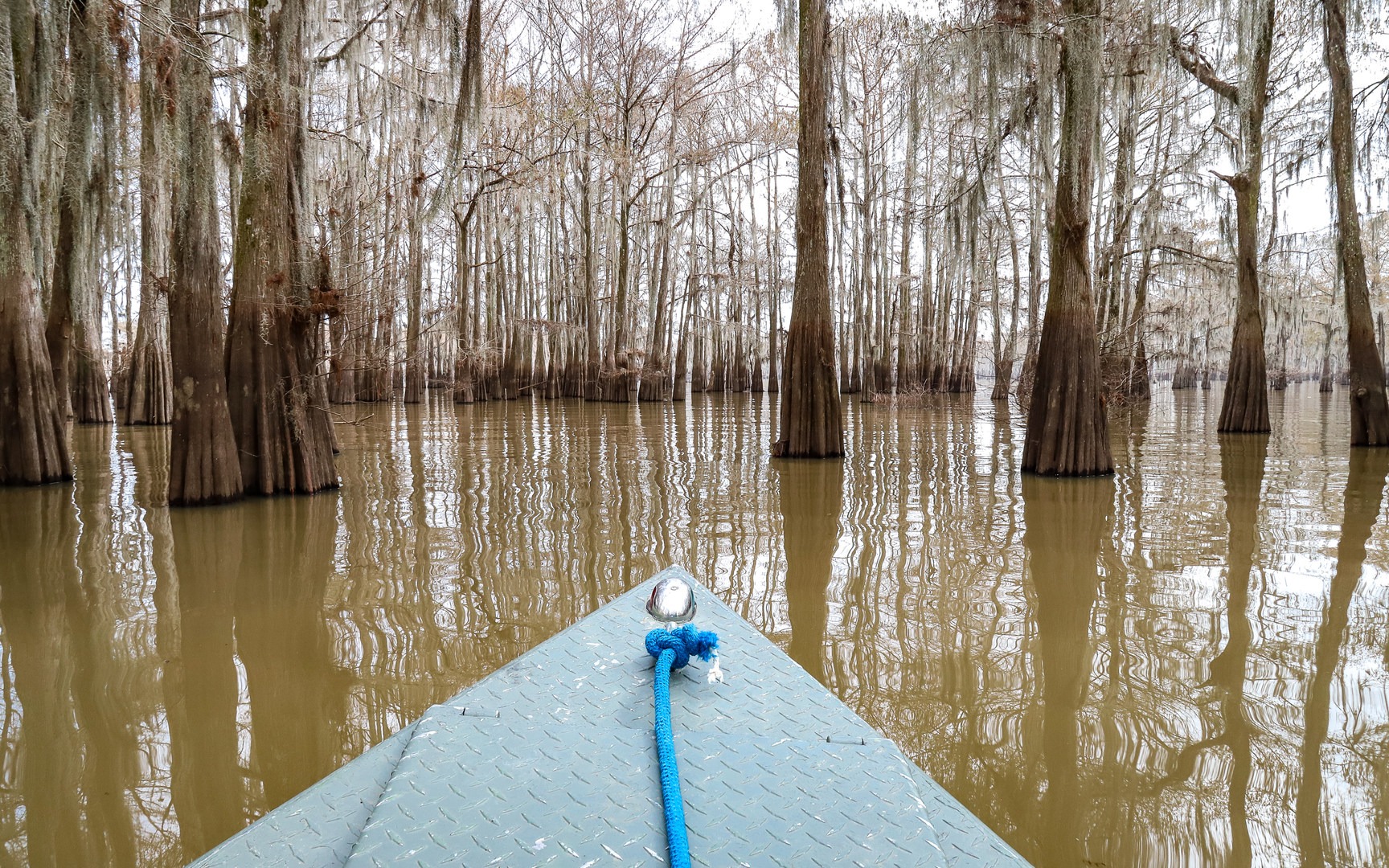 Boat is the method that gives most access to the wide and frequently roadless Atchafalaya basin.