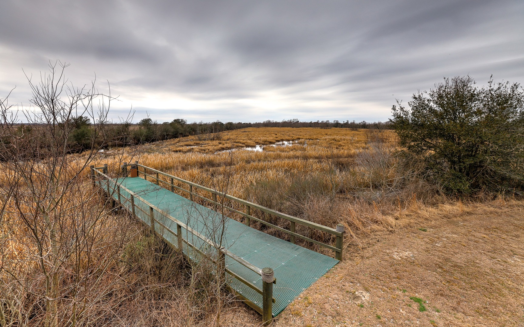 All of the trails that make up the Birding and Nature trail system can be walked in a relatively short time.