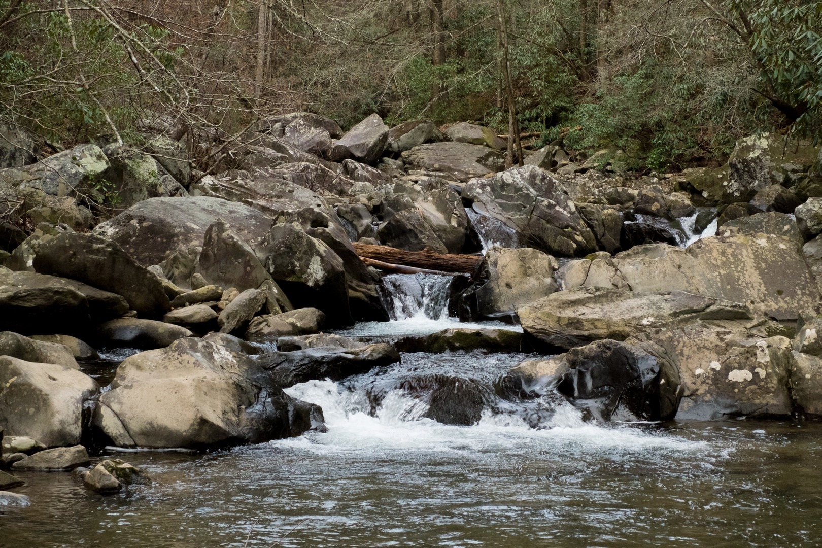 Cascades and waterfalls are the scenery along this mile of the Emery Creek Trail.