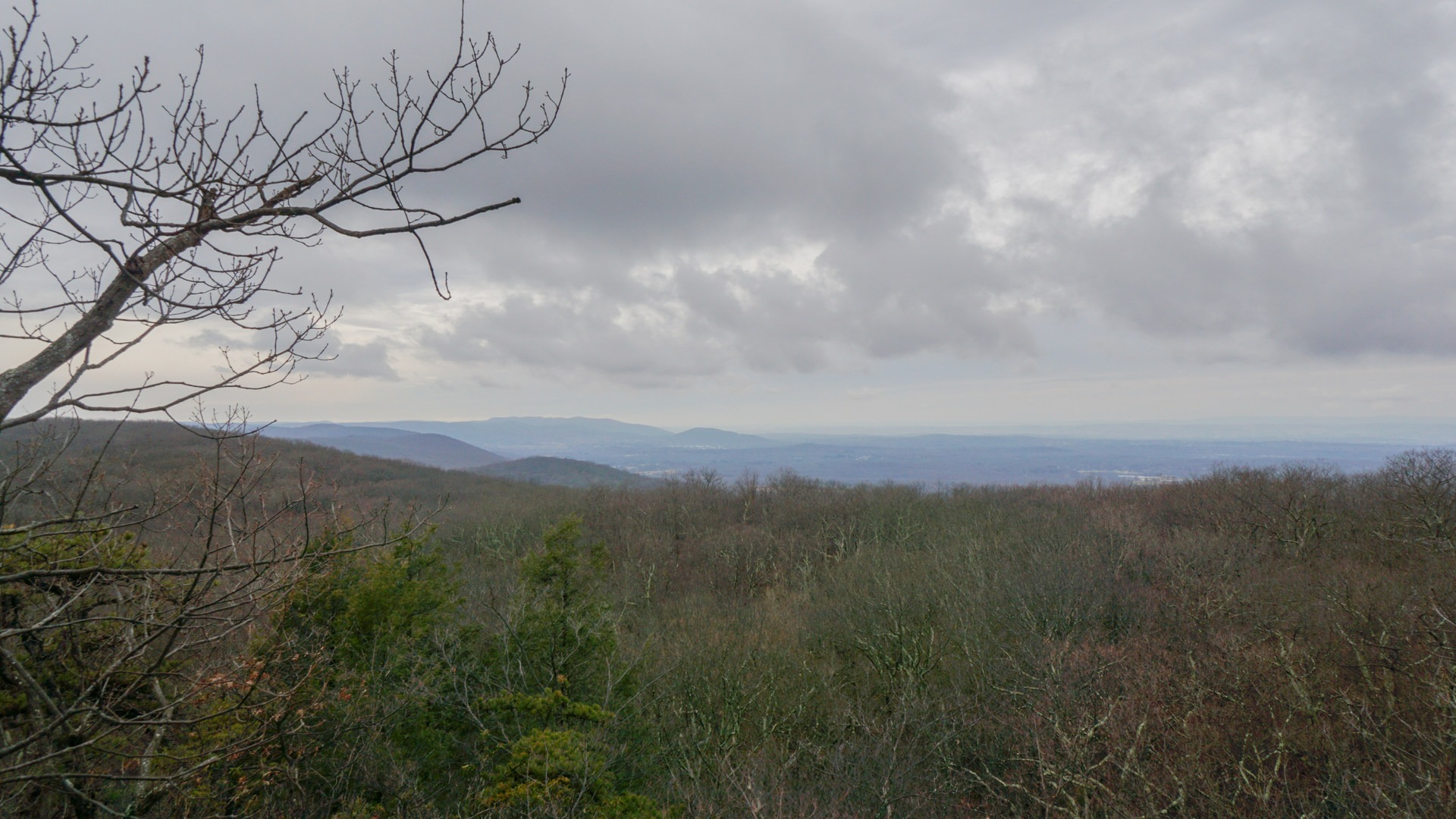 The view just past the wooded summit of Mount Egbert.