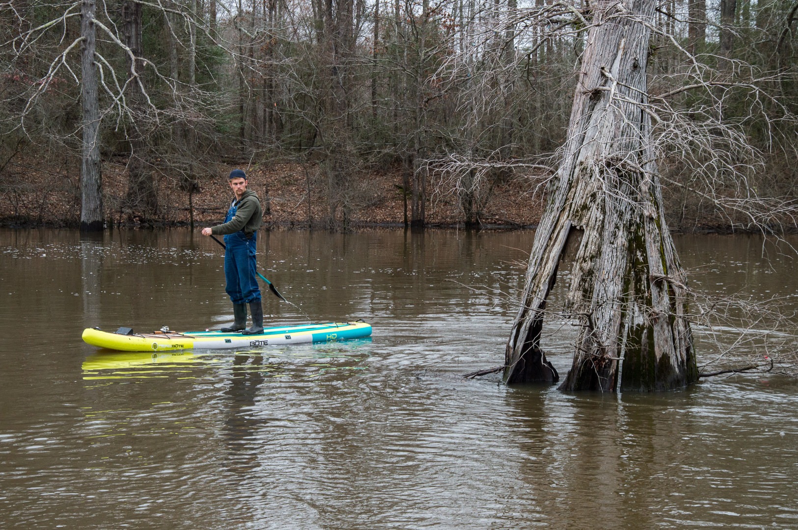 Paddleboarding for an up-close view.