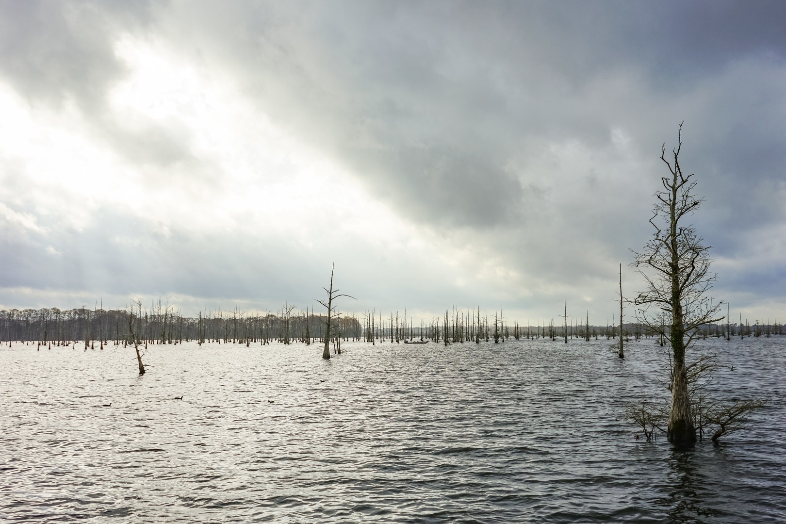 Cloudy but calm day on the water.