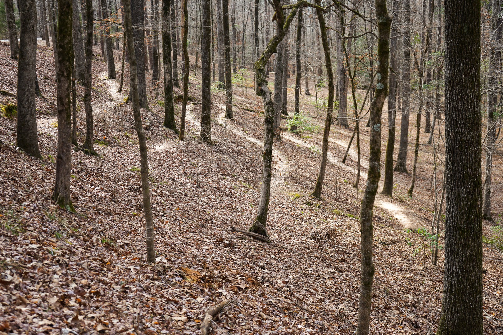 Tight switchbacks on the hillside.