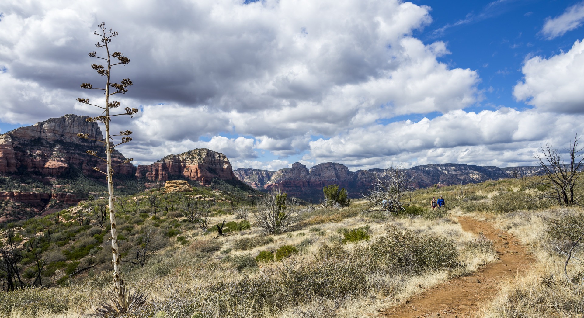 Looking east from Brins Mesa.