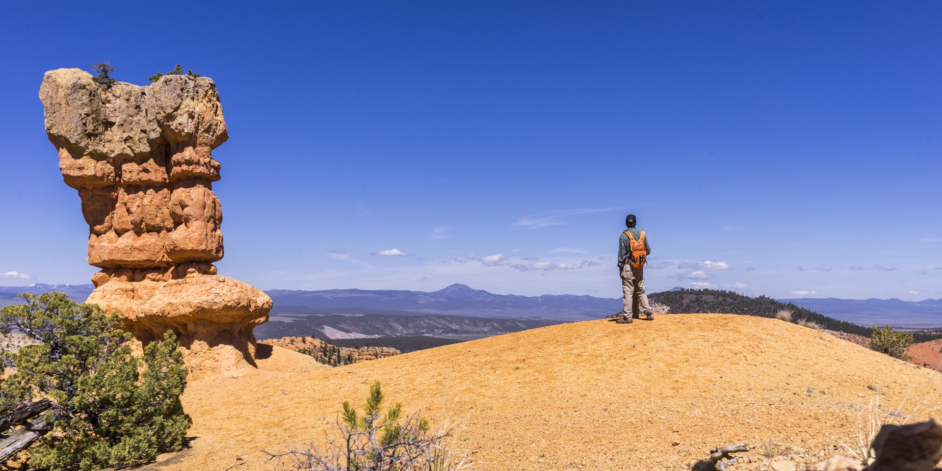Great views from the top of this hike!