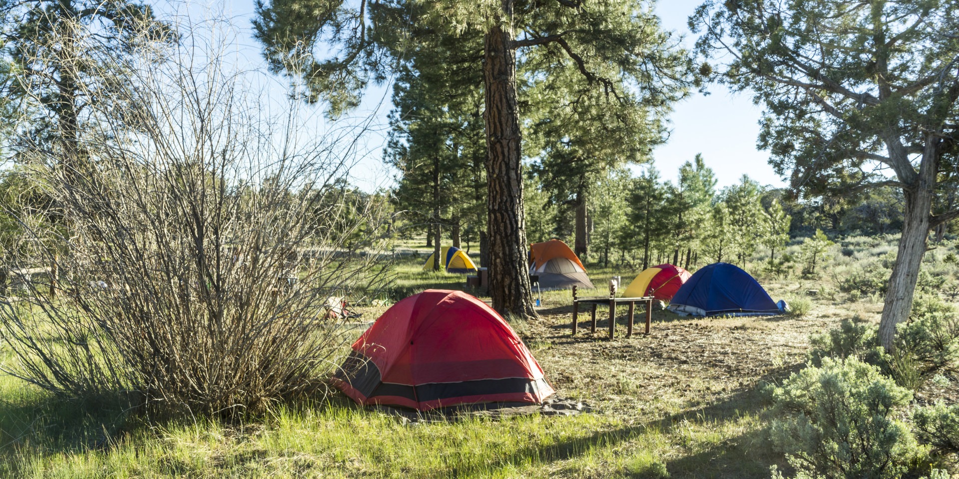 Ponderosa Campground