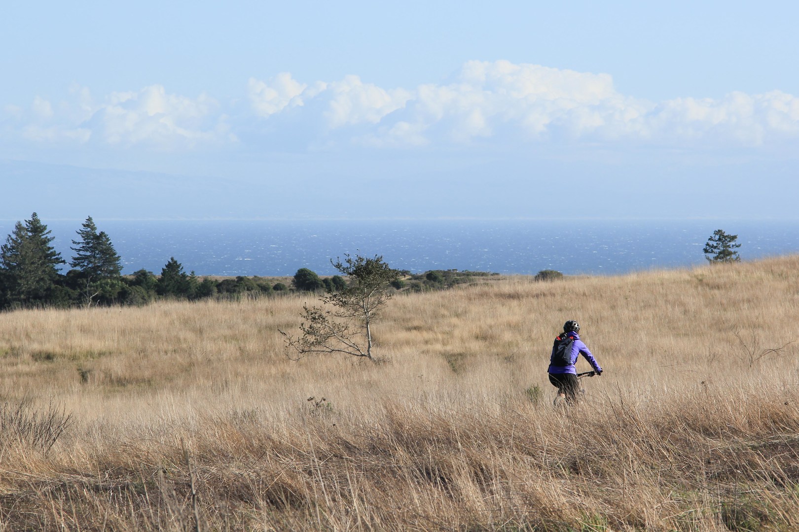 Views along the Twin Oaks Trail.