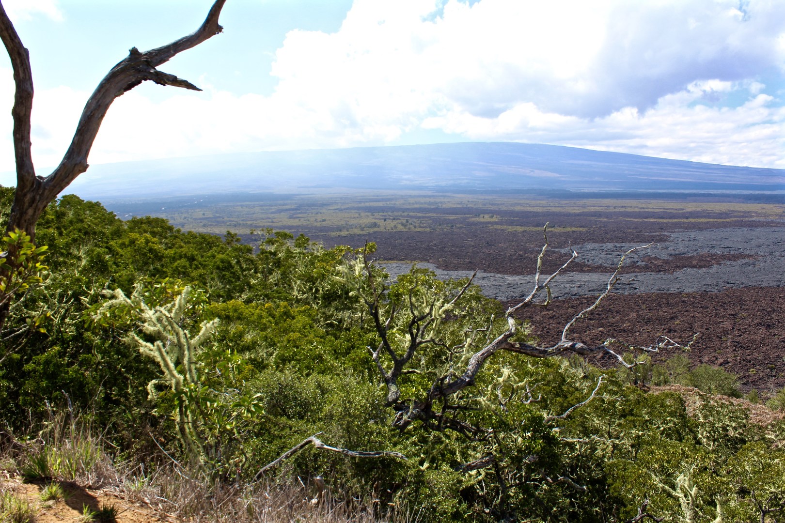 Views of Mauna Loa are not as abundant, but they are still possible to find.