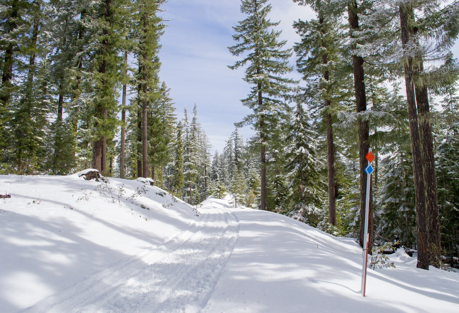 The trail is well used by snowmobiles.