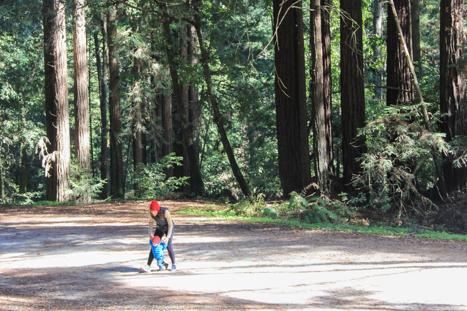 Family exploration near the Porter Family Picnic Area.