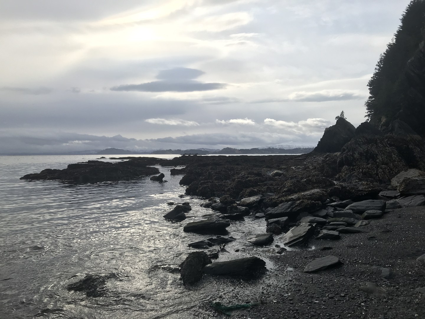 Junk beach at low tide