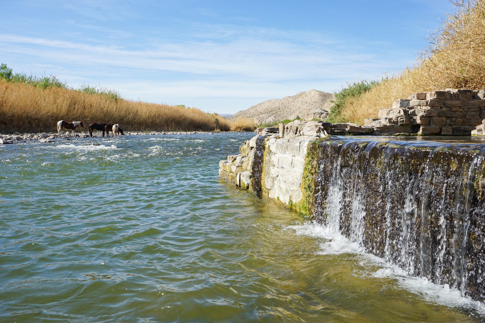 The hot spring is right next to the river's cool water.