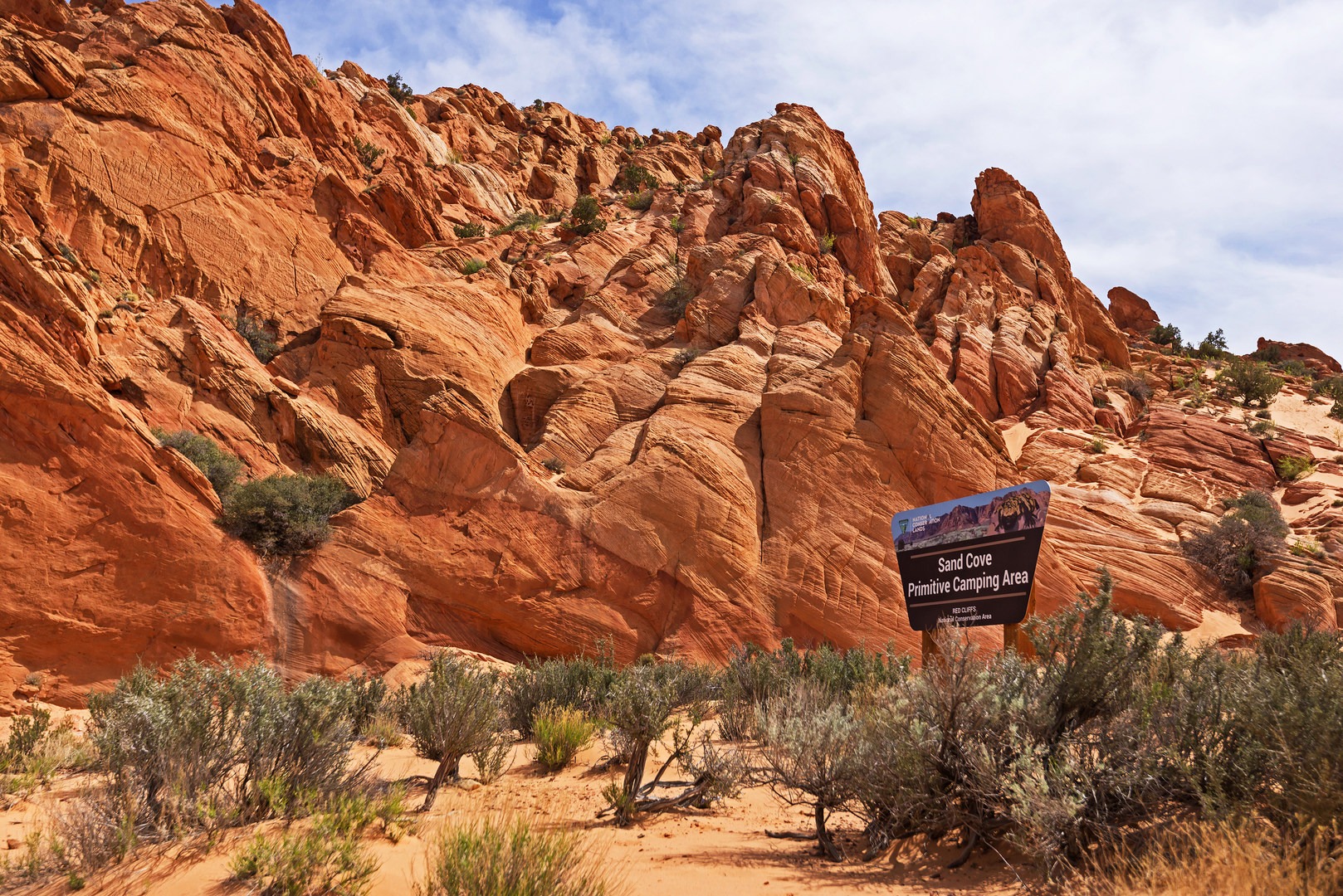 What a beautiful place to camp!