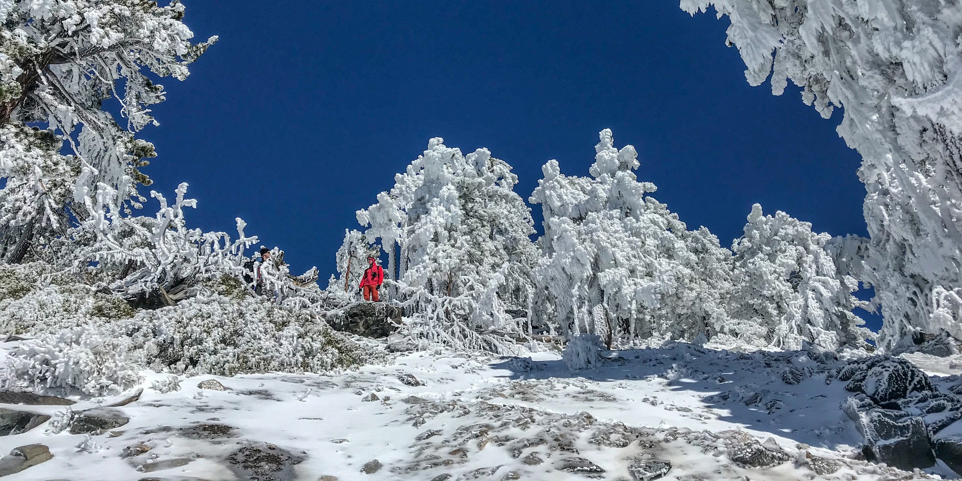 Climbing Mount Baldy in winter via Register Ridge.