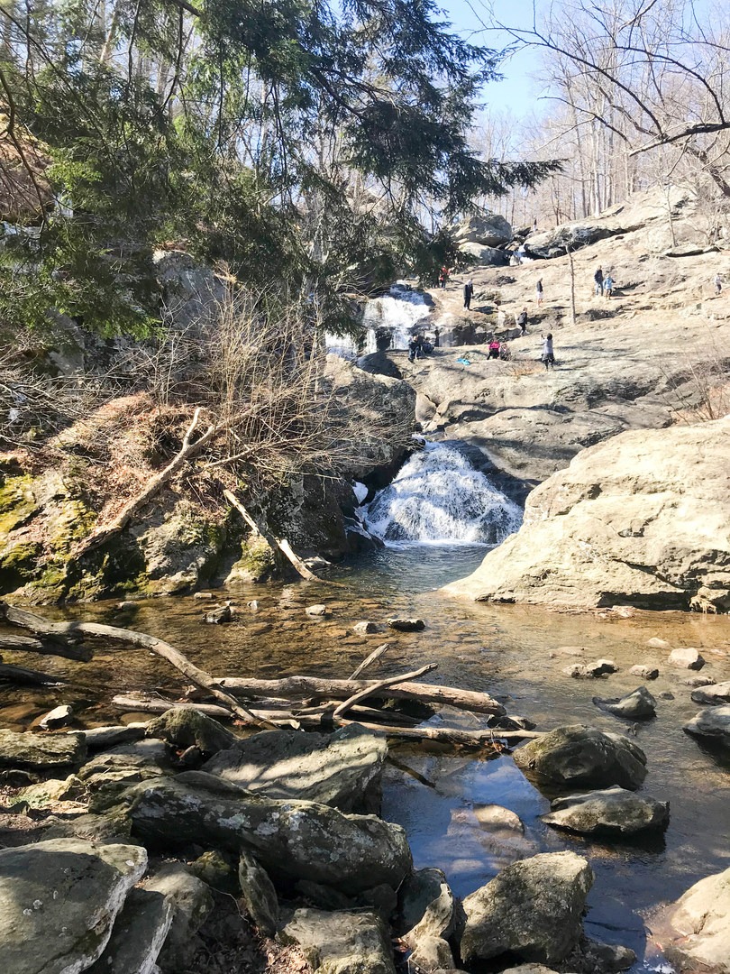 Cunningham Falls is one of the most popular hikes in the area, so it is unlikely there will be solitude at the site.